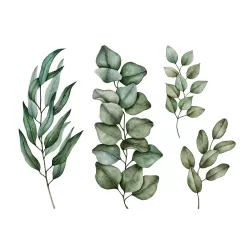 Cuadro con moldura tipo BOX y marco de madera kiri.