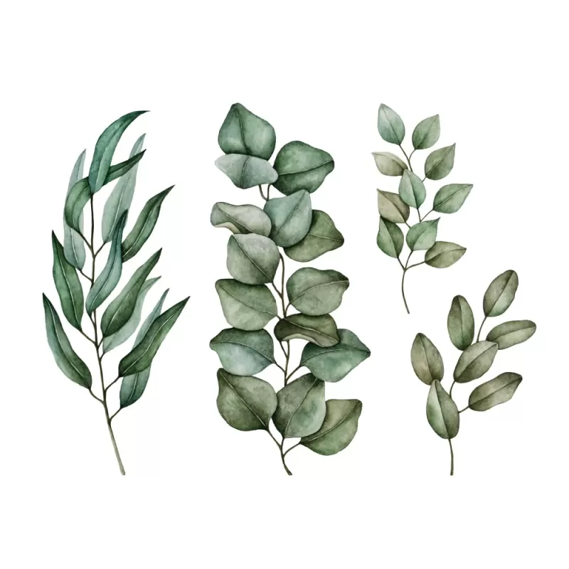 Cuadro con moldura tipo BOX y marco de madera kiri.