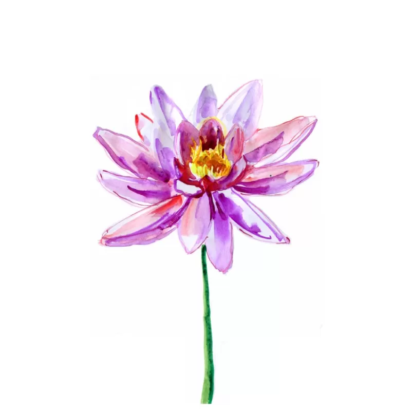 Cuadro con moldura tipo BOX y marco de madera kiri.