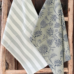 Repasador Set/2 - AR2RAYA