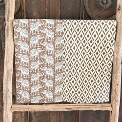 Repasador Set/2 - AR2ELE