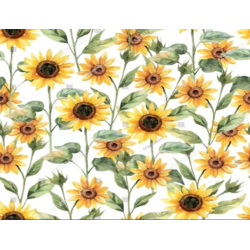 Servilletas Cuadradas 33 x 33 Girasol - N33GIRA