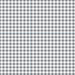 Servilletas Cuadradas 33 x 33 Picnic Gris - N33PICGR
