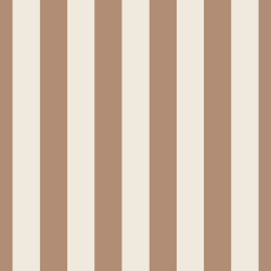 Individual Rayas Terracota y Crema